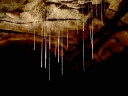 waitomo (19)
